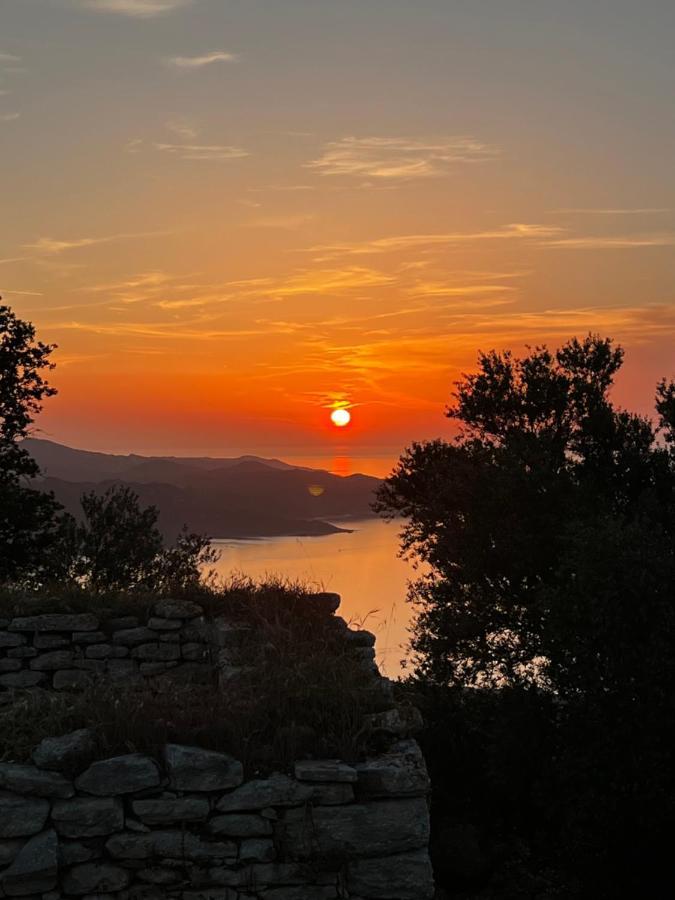 Residence Catalina Saint-Florent  Εξωτερικό φωτογραφία